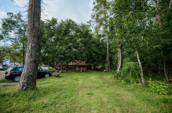 Shekhvetili Cottages 2N Bagian luar foto